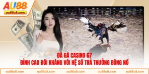 Đá gà Casino 67